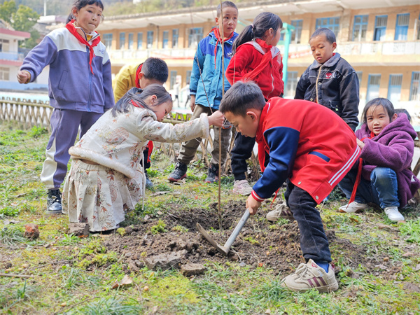 凉伞镇茶坪完全小学植树现场.jpg