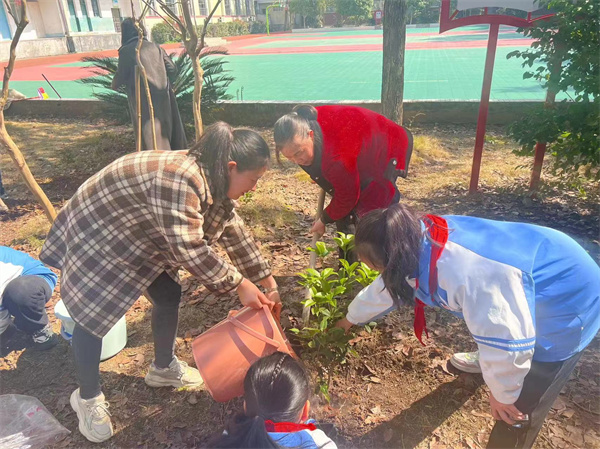 晃州镇第三完全小学师生植绿现场.jpg