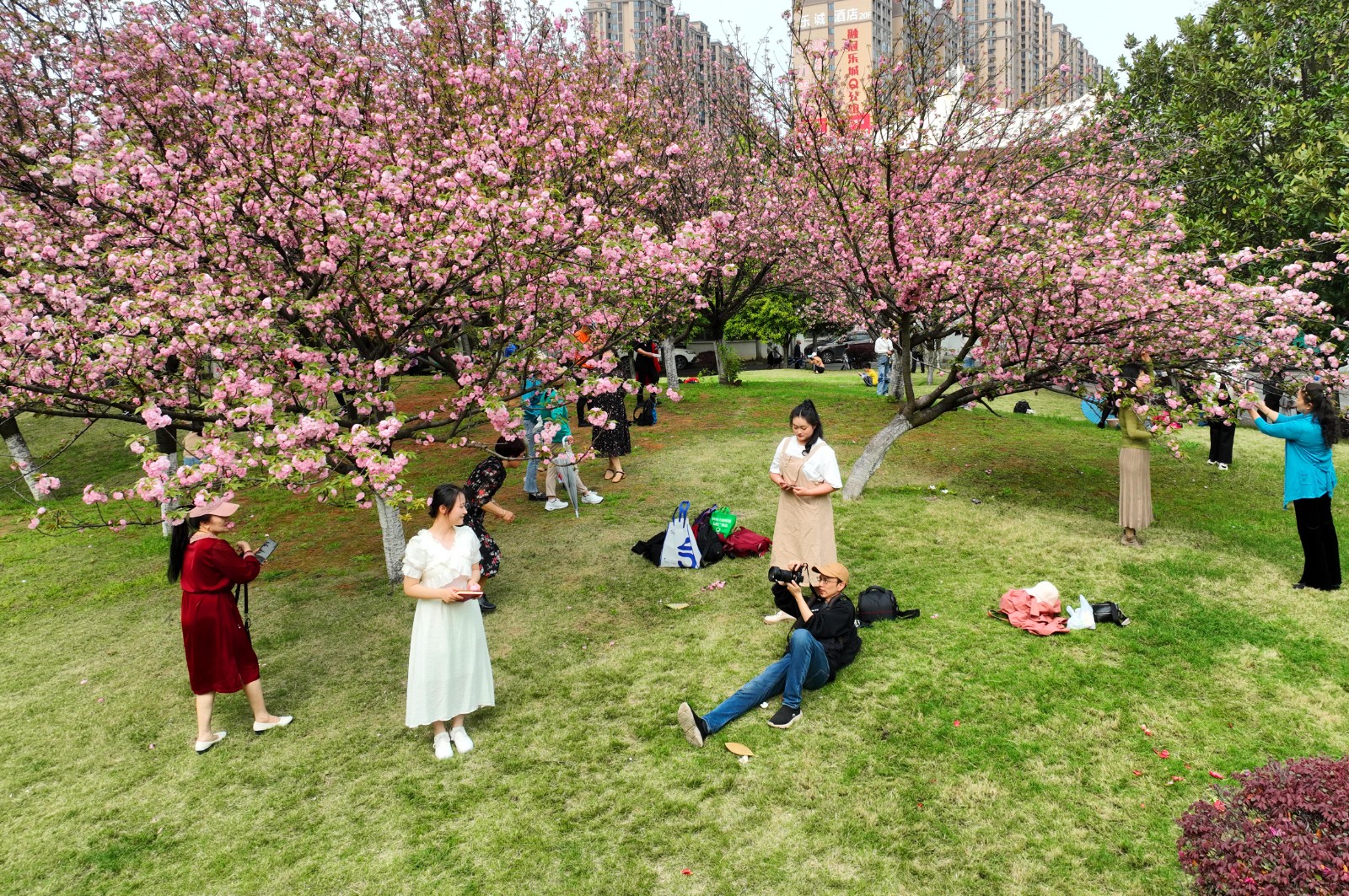 2024年3月31日，湖南省衡阳市，市民在南华大学校园里的踏青赏花，乐享美好春光（无人机照片）。 (13).jpg