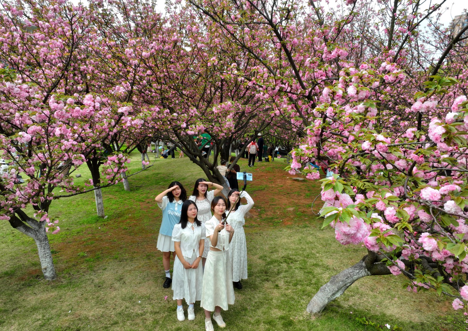 2024年3月31日，湖南省衡阳市，南华大学的同学们在校园的踏青赏花，乐享美好春光（无人机照片）。 (2).jpg