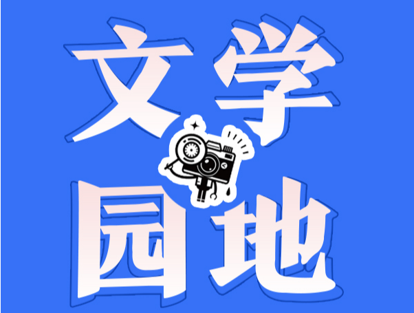 【武冈市站】小巷换新颜