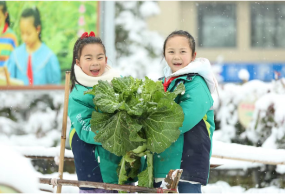 吉首市乾元小学：大雪遇见劳动，瑞雪再兆丰年