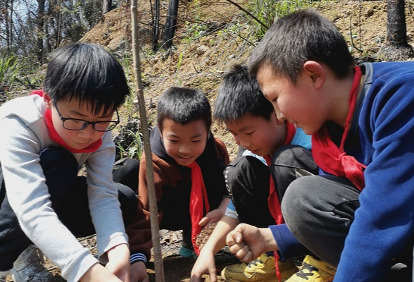 携手爱绿护绿 共守绿水青山