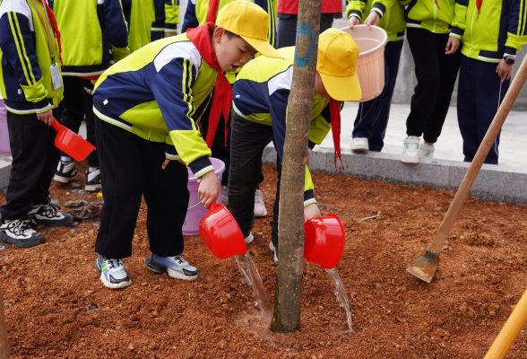 衡南县沁园小学：凝聚党建红，共植生态绿