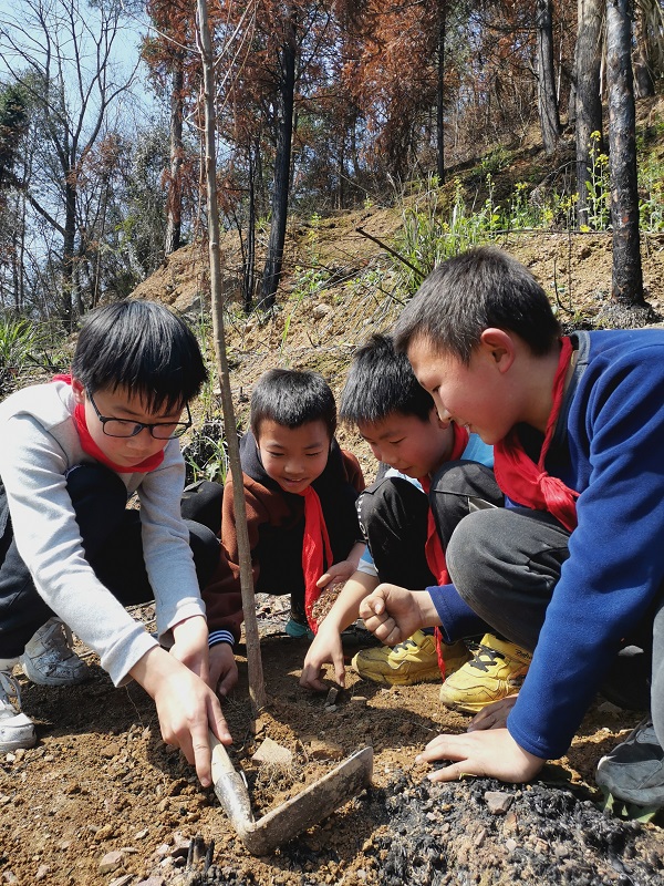 学生共同配合栽树.jpg