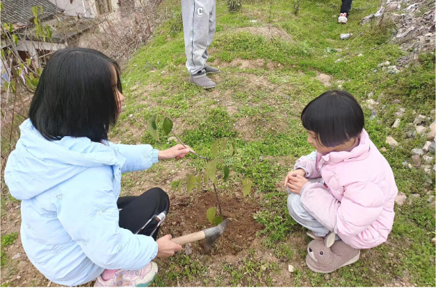 【慈利站】溪口镇中心完小：开展植树节系列活动