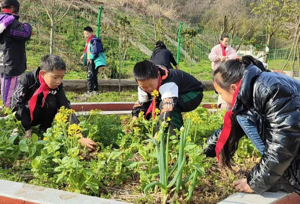 【慈利站】高峰土家族乡中学：弘扬雷锋精神，争做劳动先锋