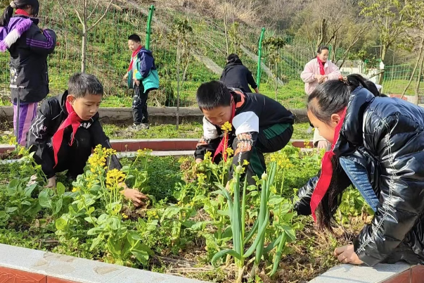 【慈利站】高峰土家族乡中学：弘扬雷锋精神，争做劳动先锋