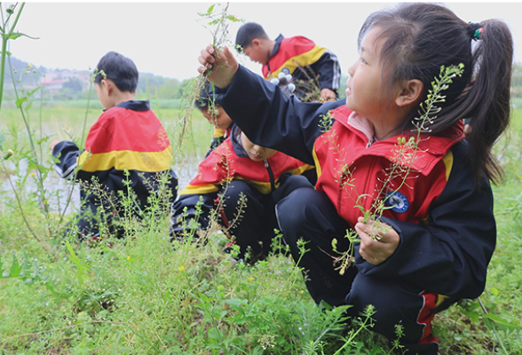 【衡阳县站】英南学校：传统节日荠菜香，小小记者爱自然