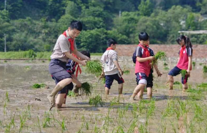 娄星区大科思乐学校：一把青 两腿泥 三餐四季我耕耘