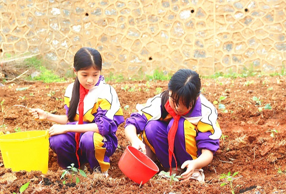 江永：课堂“搬”进菜园  播下爱劳动种子