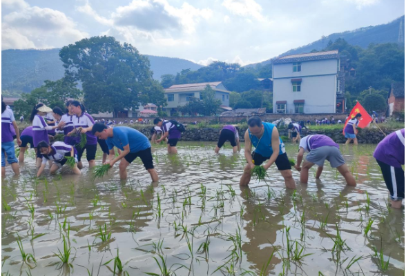 双牌县紫京学校：插秧、捉鱼、除草……学子走进田园体验农耕文化