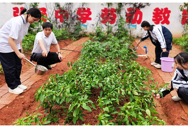 【衡阳县站】弘扬中学：劳动励心智，实践促成长