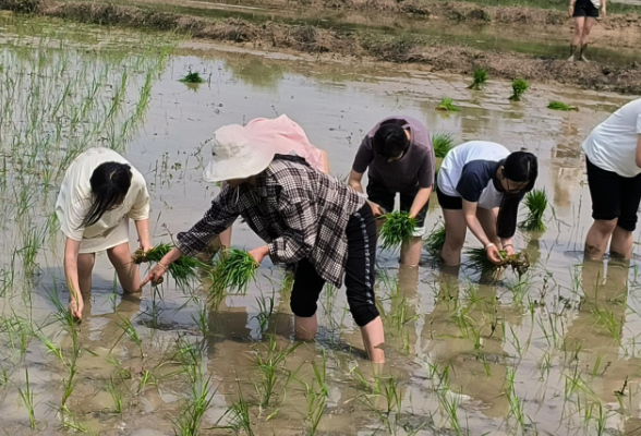 双峰县文正学校：知行合一，劳动教育动起来