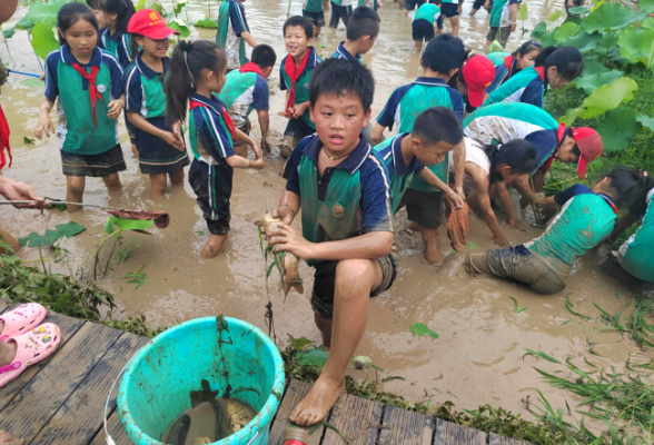 【新邵站】新邵县酿溪镇第一完全小学：走进红色记忆  传承非遗文化