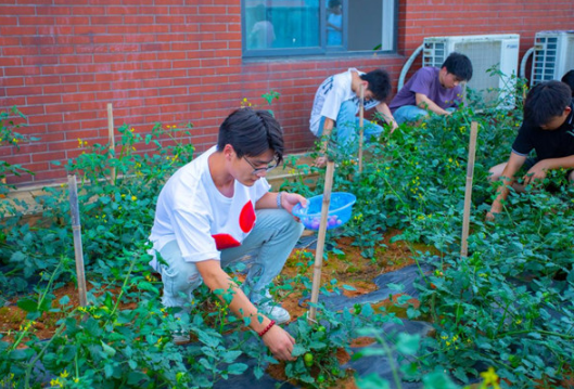 快来赏花吃果！长沙职业技术学院工科生打造浪漫“花果园”