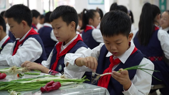 怀化：让学生成为一名“小小劳动者”